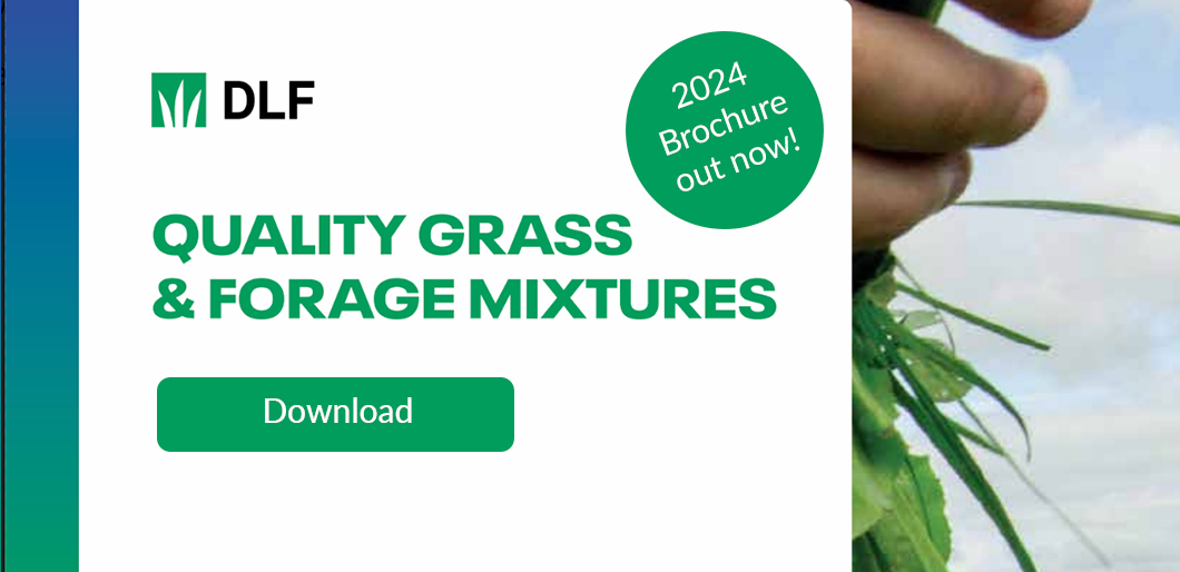 Quality Grass & Forage Mixtures