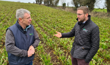 Expert insights into growing Beet 
