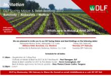 DLF Spring Maize and Beet Briefings 2017