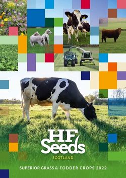 HF Seeds Brochure 2020